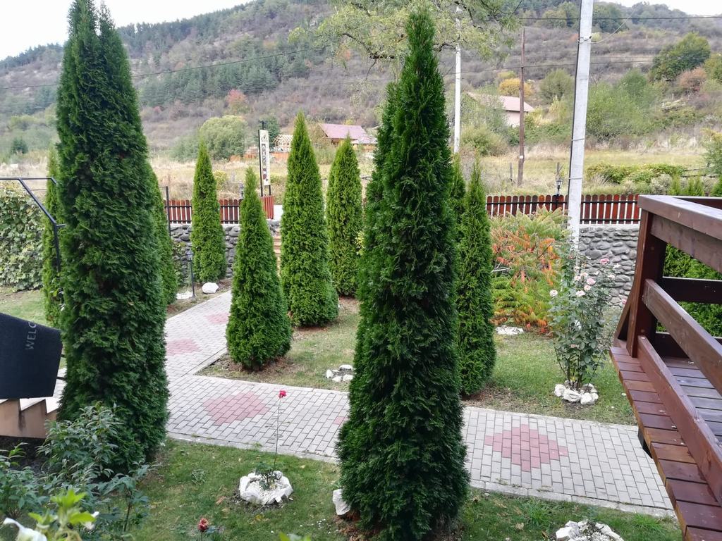 Cazare in Praid - PENSIUNEA SEBELIN - Praid Cazare in Praid - PENSIUNEA SEBELIN - Praid