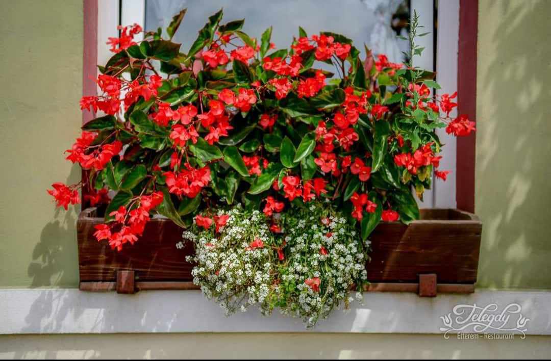 Cazare in Praid - RESTAURANT CASA TELEGDY - Praid Cazare in Praid - RESTAURANT CASA TELEGDY - Praid