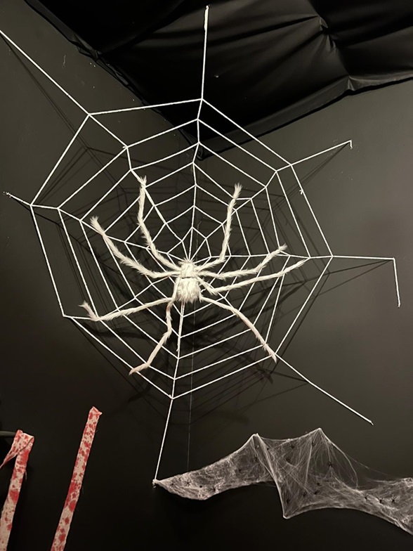 Cazare in Praid - OBIECTIV TURISTIC MAGIC SELFIE HOUSE - Praid Cazare in Praid - OBIECTIV TURISTIC MAGIC SELFIE HOUSE - Praid