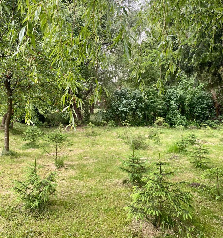 Cazare in Praid - PENSIUNEA SOVIRAG - Praid Cazare in Praid - PENSIUNEA SOVIRAG - Praid