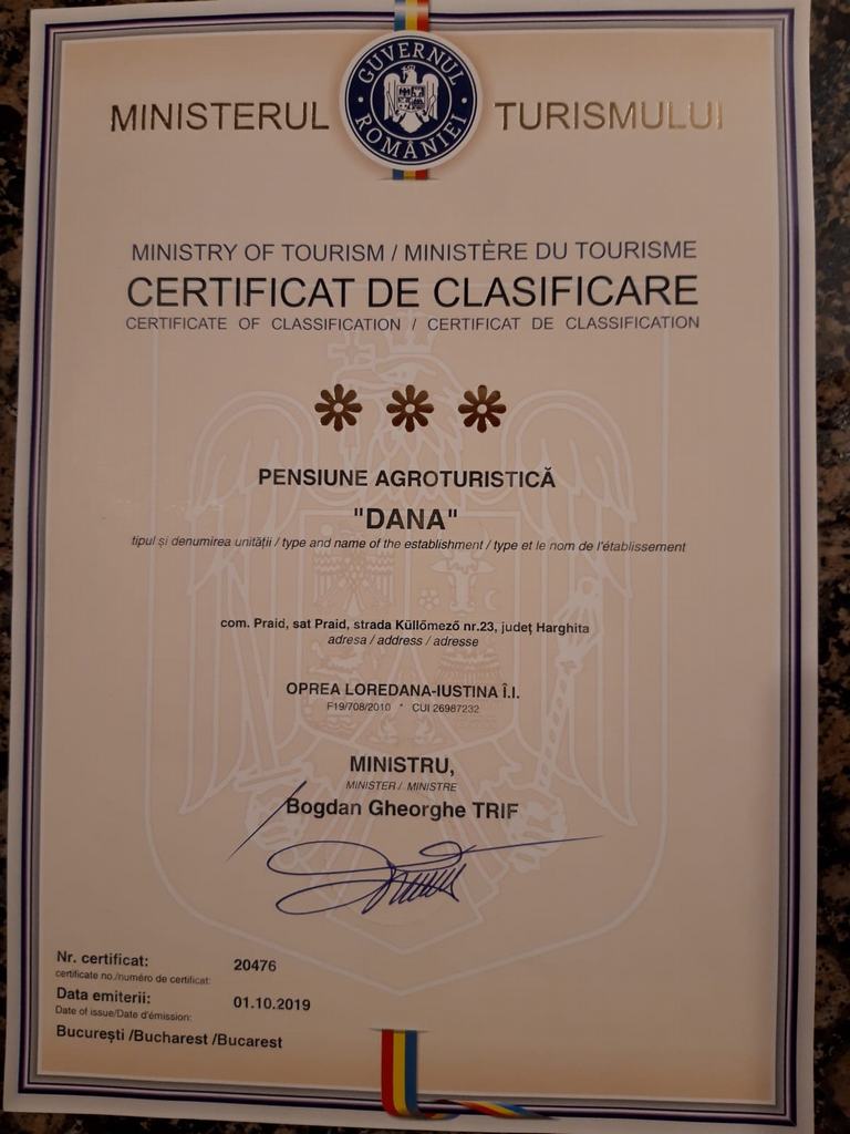 Cazare in Praid - CASA DANA - Arad Cazare in Praid - CASA DANA - Arad