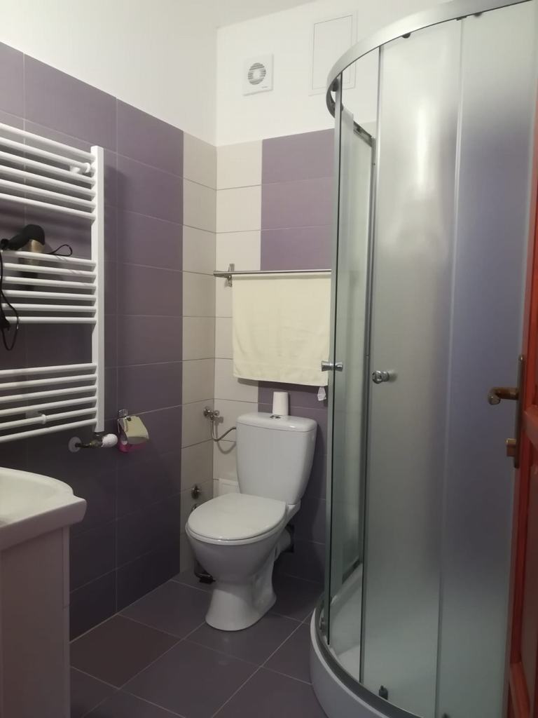 Cazare in Praid - CASA DANA - Arad Cazare in Praid - CASA DANA - Arad