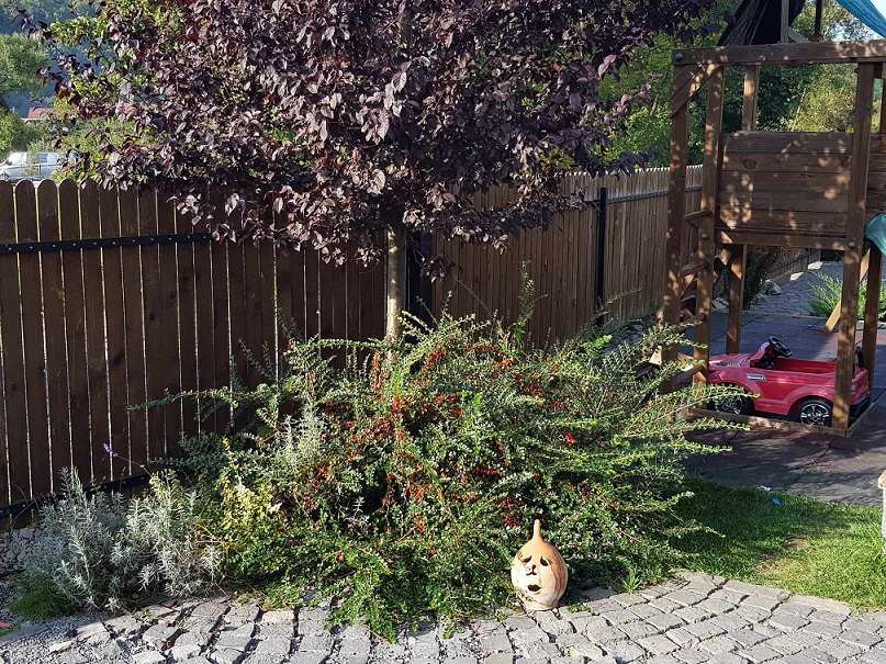 Cazare in Praid - COMPLEX CASA BRATA - Praid Cazare in Praid - COMPLEX CASA BRATA - Praid