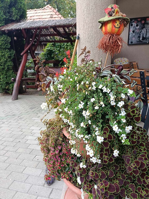 Cazare in Praid - PENSIUNEA CSATARI - Praid Cazare in Praid - PENSIUNEA CSATARI - Praid