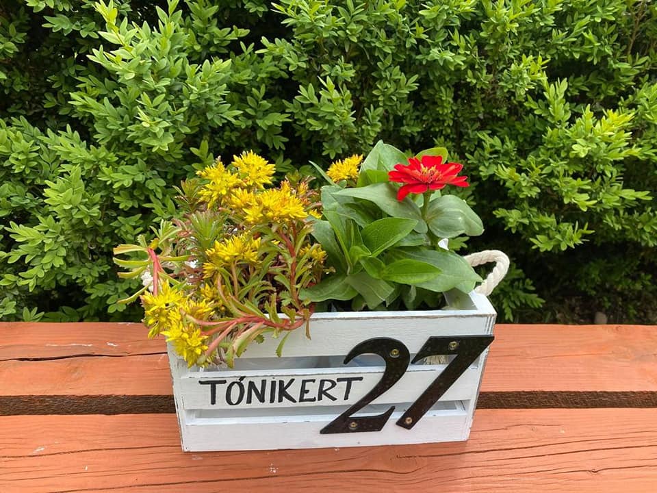 Cazare in Praid - PENSIUNEA ANCIUPI - Praid Cazare in Praid - PENSIUNEA ANCIUPI - Praid