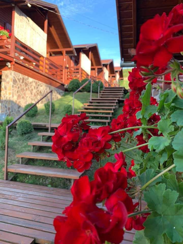 Cazare in Praid - CASUTE CRISTAL DE SARE - Praid Cazare in Praid - CASUTE CRISTAL DE SARE - Praid