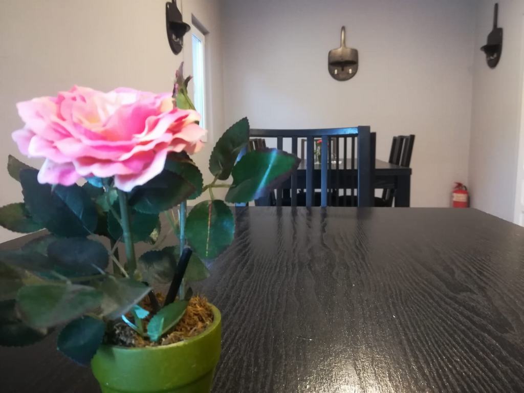 Cazare in Praid - PENSIUNEA HORVATH - Praid Cazare in Praid - PENSIUNEA HORVATH - Praid